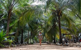 Sand Dune Beach Resort & Surf Camp